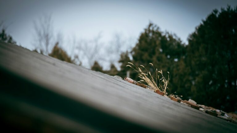 Person inspecting roof shingles and gutters from the ground beside a leaf-covered home.